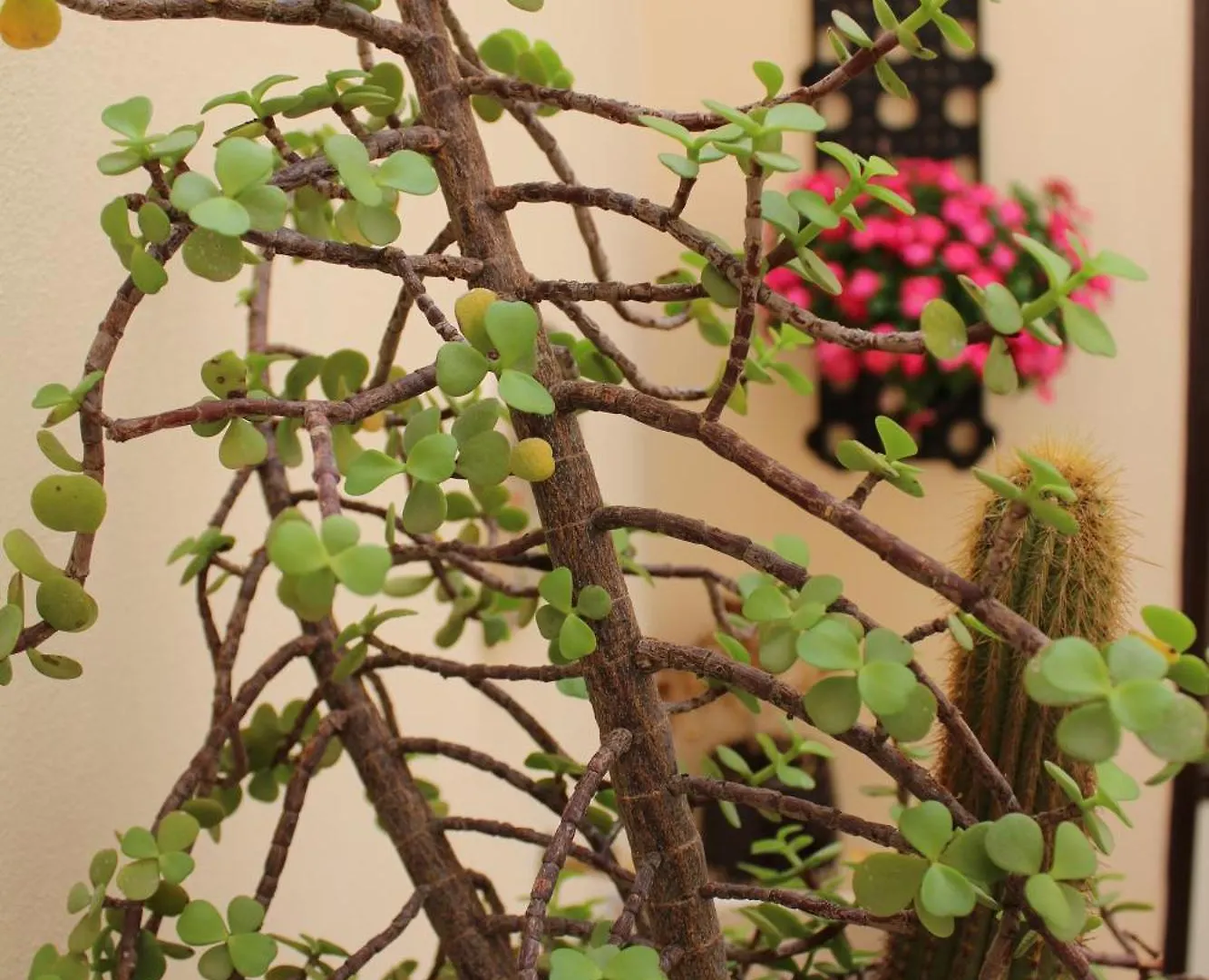 Falstaff Rooms & Suites Palerme 0*,  Italie